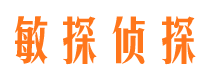 临漳市侦探调查公司